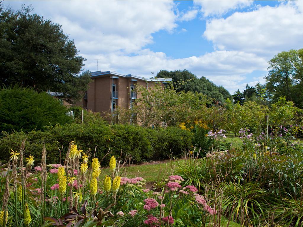 University Of Exeter - Pennsylvania Court المظهر الخارجي الصورة